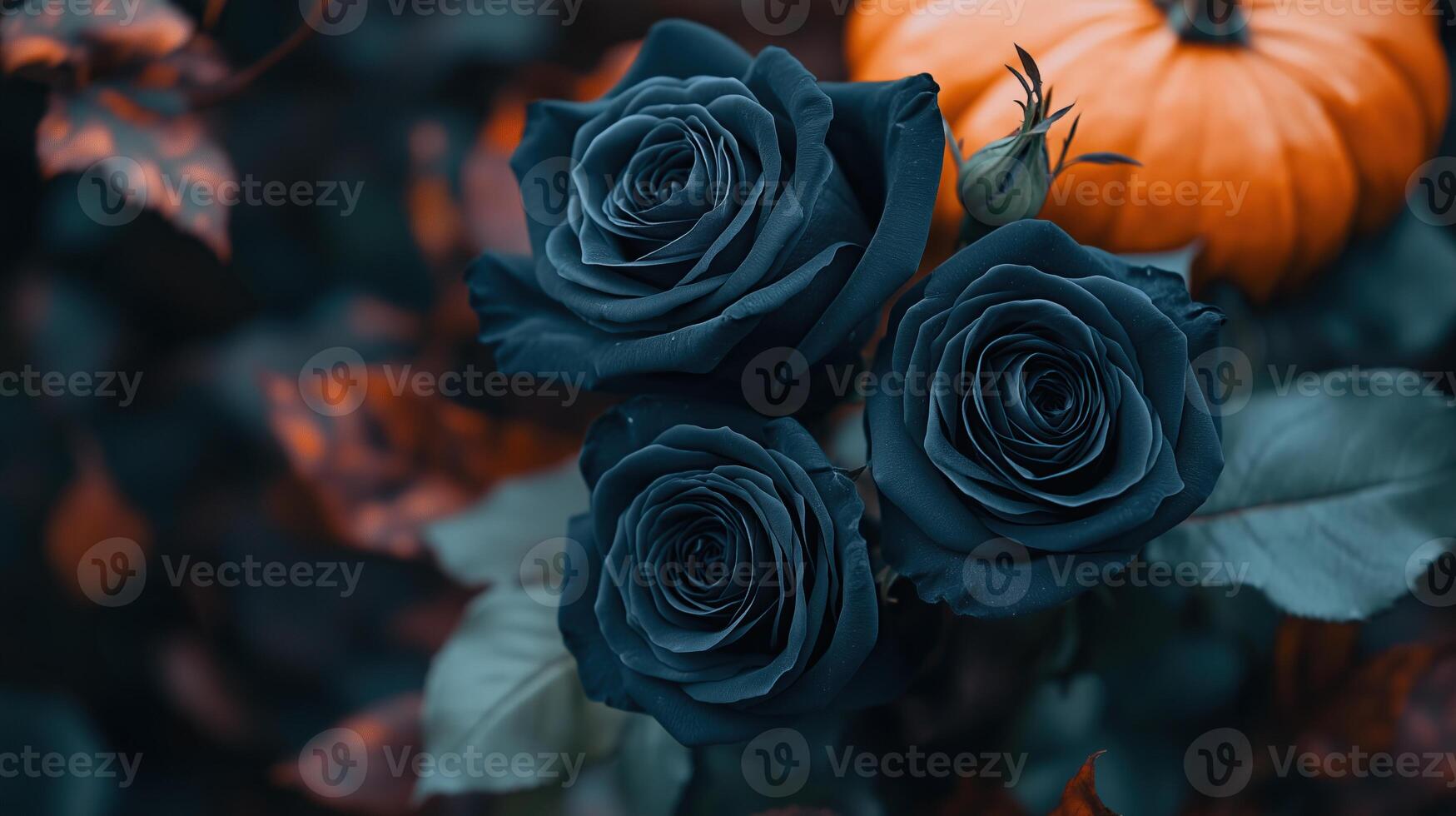 Halloween themed floral arrangement with dark roses photo
