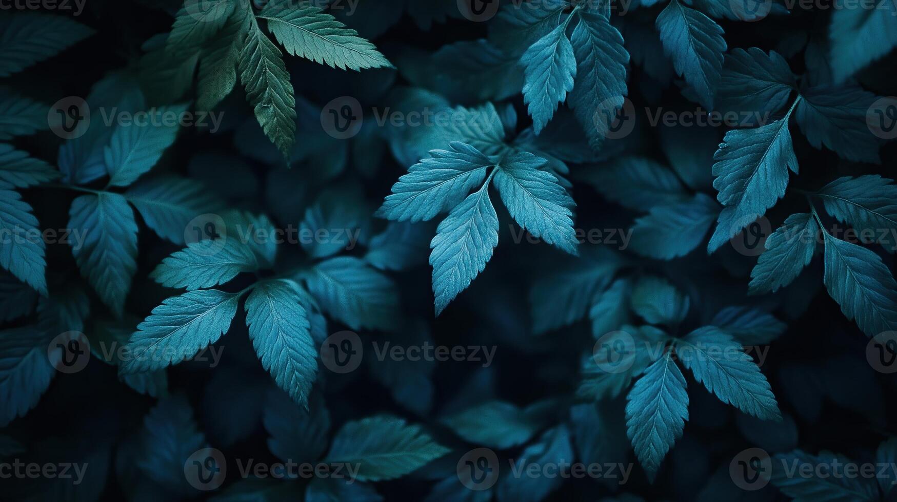 Moody Close-Up of Fern Leaves in a Dark Forest, Deep Green and Blue Tones photo