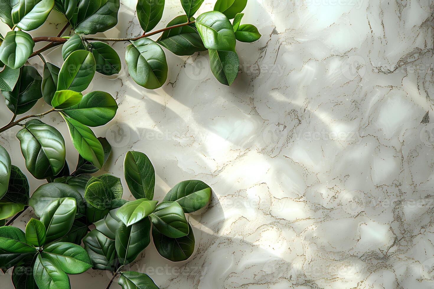 Nature-Inspired Leafy Greenery on Marble Backdrop - Ideal for Modern Design Projects photo