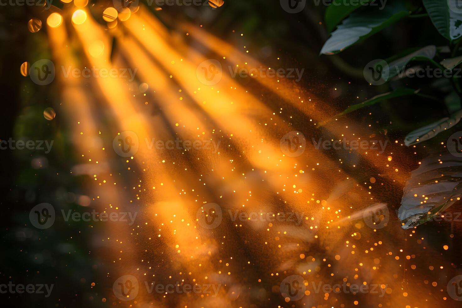 Golden Sunlight Beams Through Forest Canopy - Nature's Tranquility for Inspirational Art photo