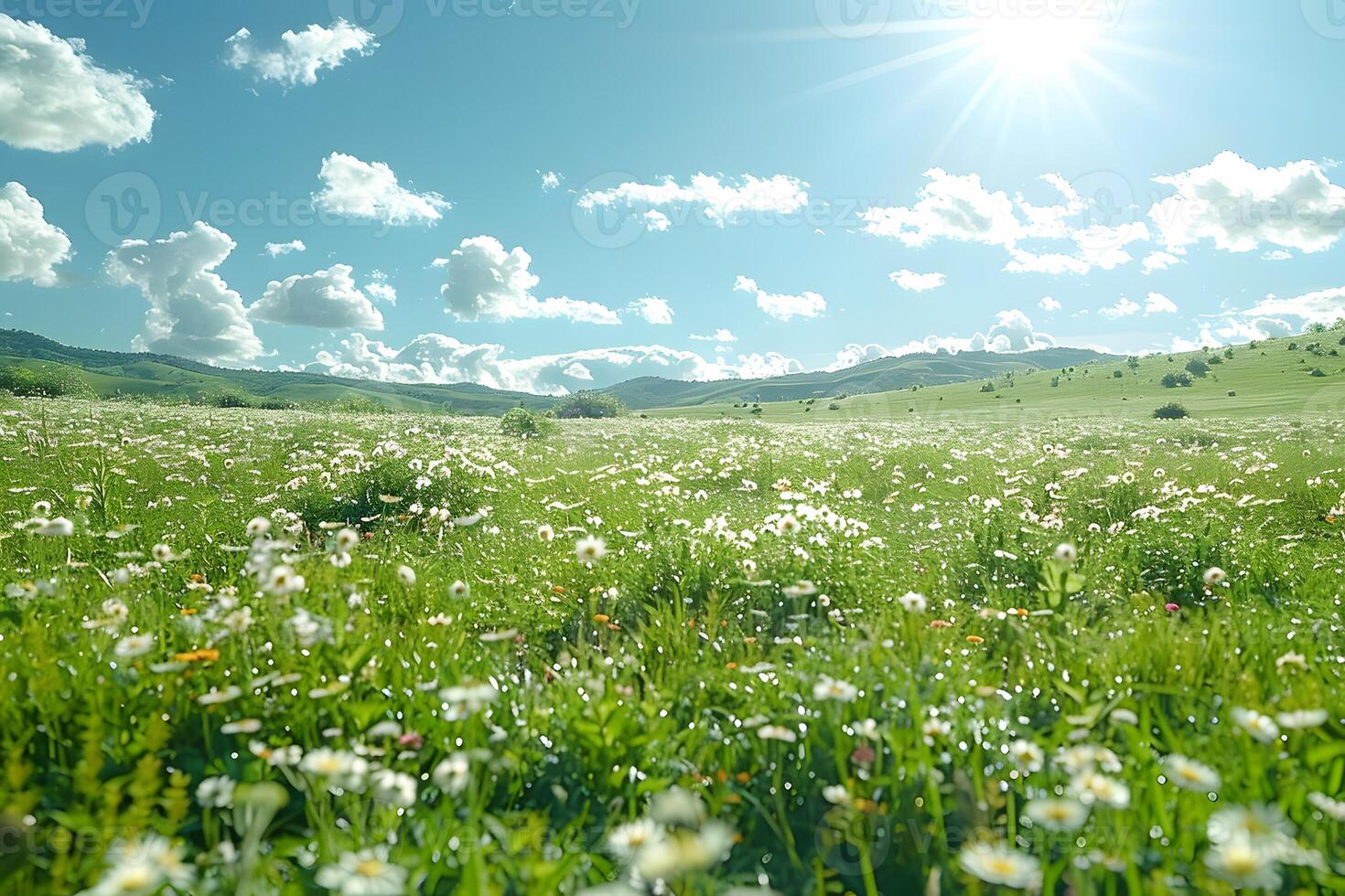 Sunny Spring Meadow with Blooming Wildflowers under Blue Sky photo