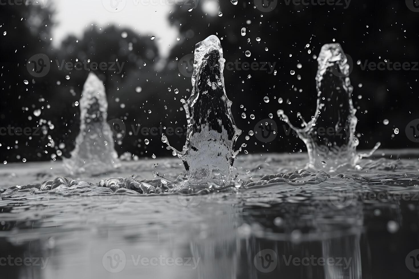 Dynamic Water Fountain Splashes in Monochrome for Artistic and Design Use photo
