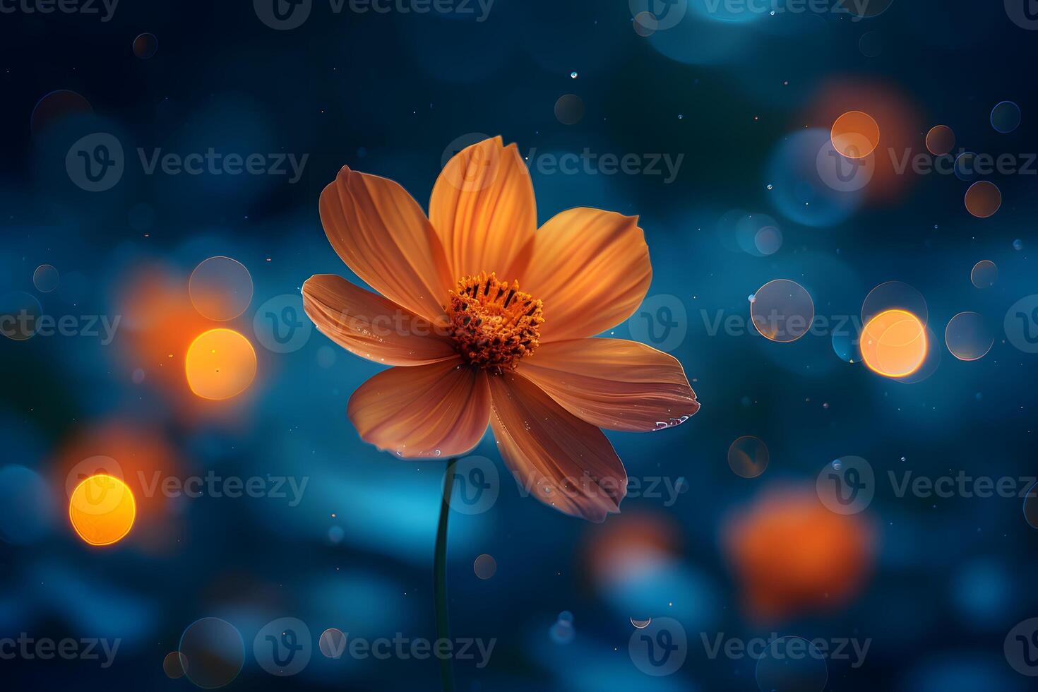 Vibrant Orange Flower in Enchanting Bokeh Background for Nature Art Print photo