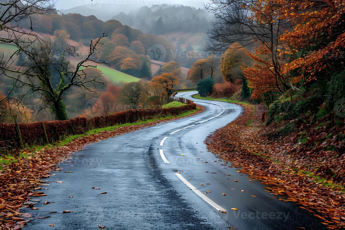 Winding Autumn Road Through Misty Forest Hills for Scenic Landscape Photography photo