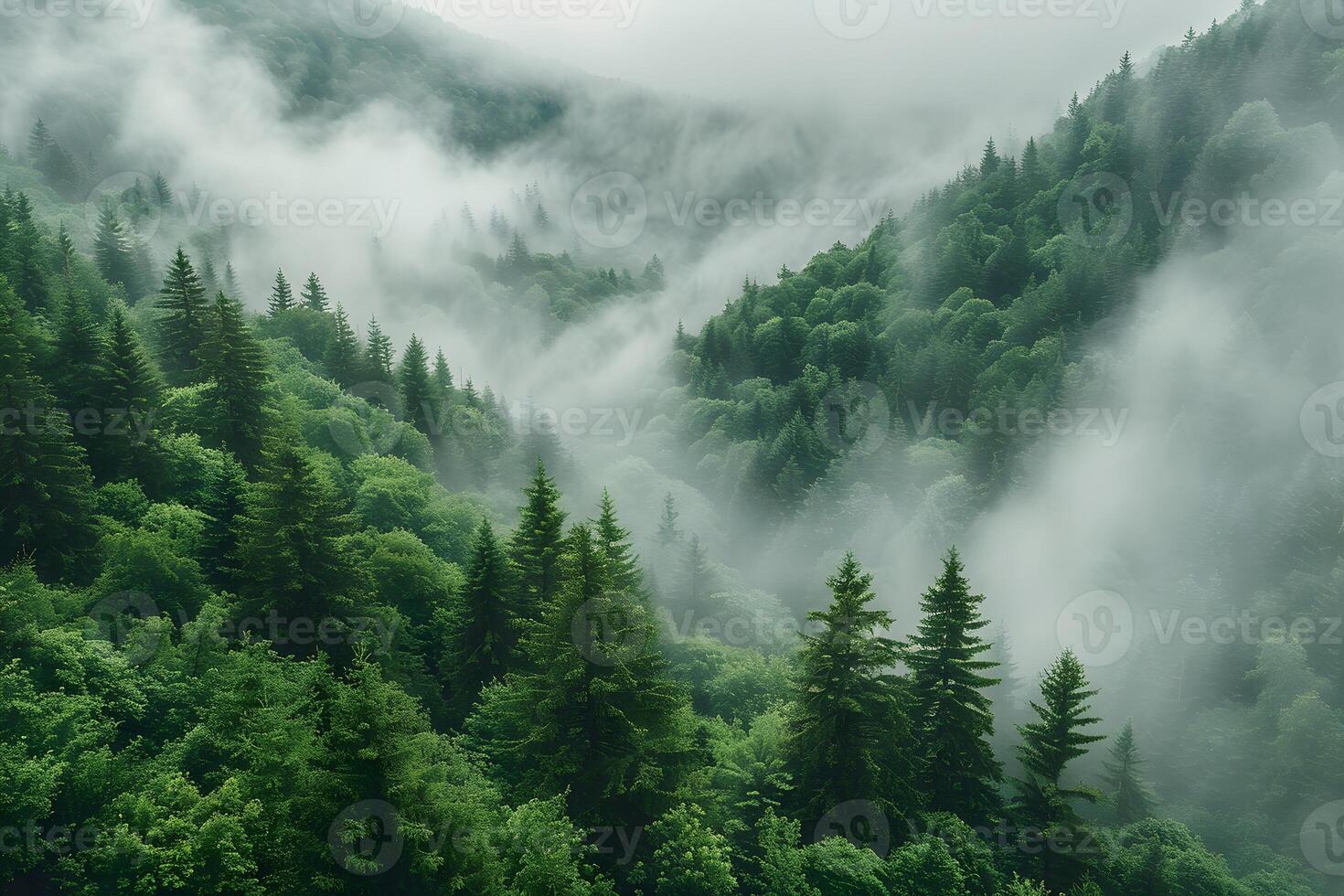 Enchanting Misty Forested Mountains Nature's Serenity and Tranquility photo