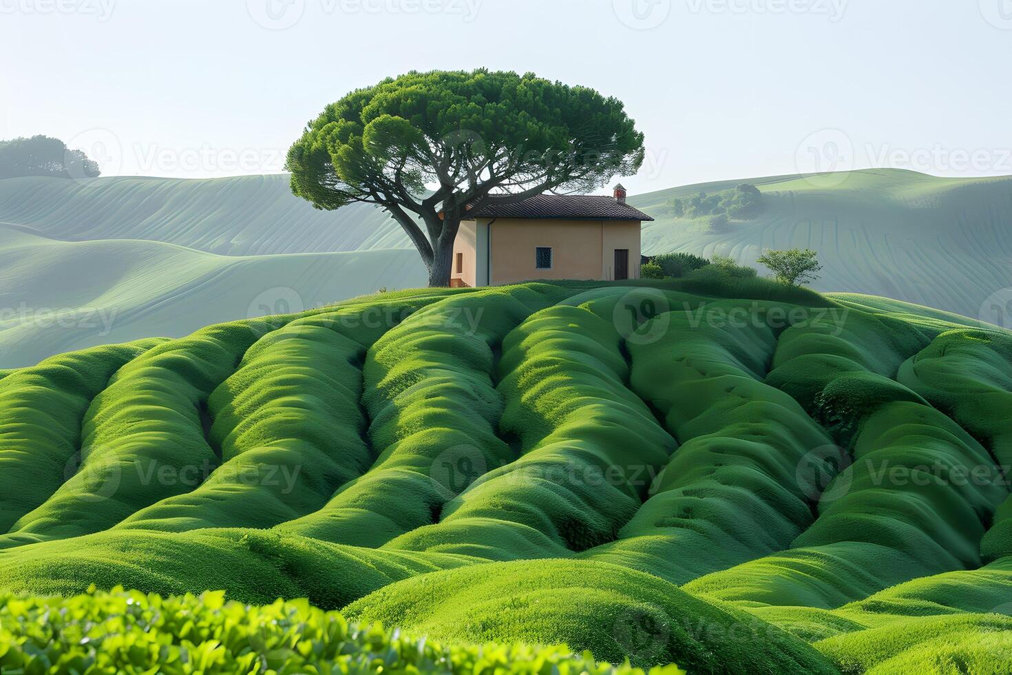 Serene Countryside Retreat with Rolling Green Hills for Nature Inspiration photo