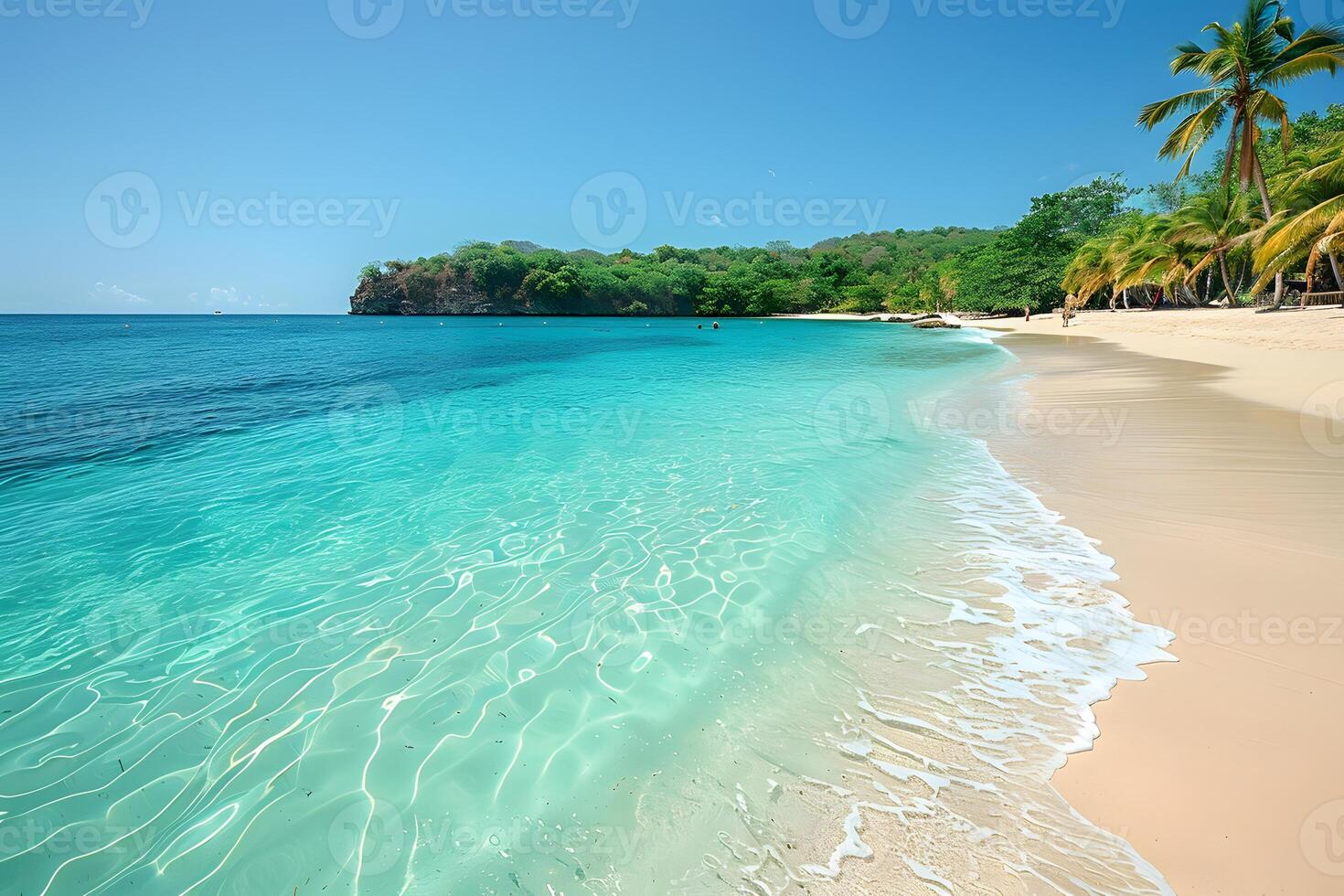 Tropical Beach Paradise with Turquoise Waters and Palm Trees for Summer Vacations photo