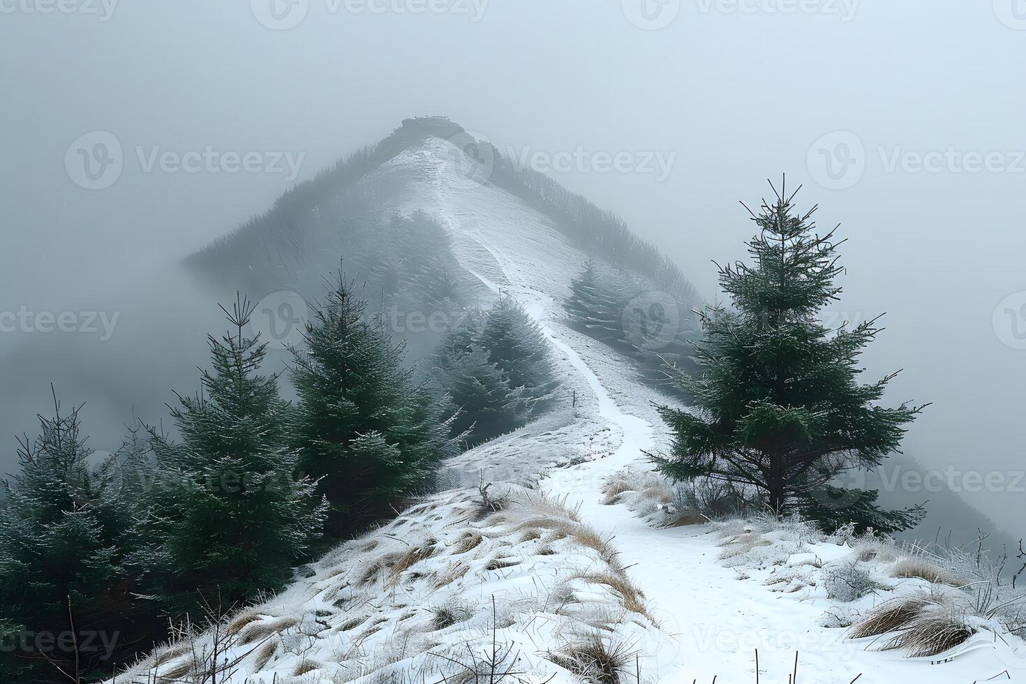 Misty Winter Mountain Path Through Snow and Evergreen Trees photo