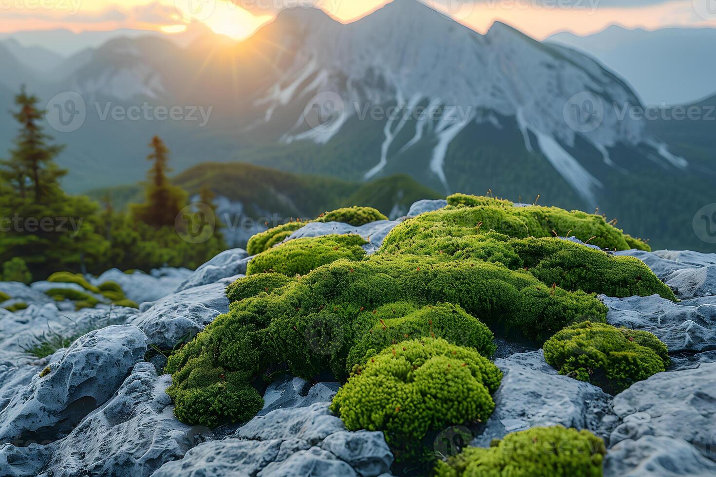 Majestic Mountain Landscape at Sunset with Vibrant Green Moss in the Foreground photo