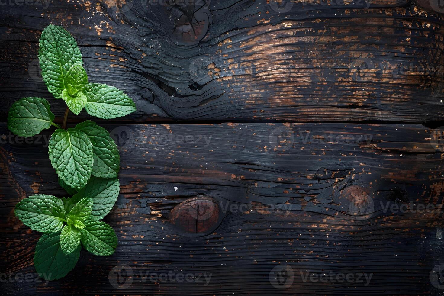 Fresh Mint Leaves on Rustic Wooden Background for Culinary Use and Organic Designs photo