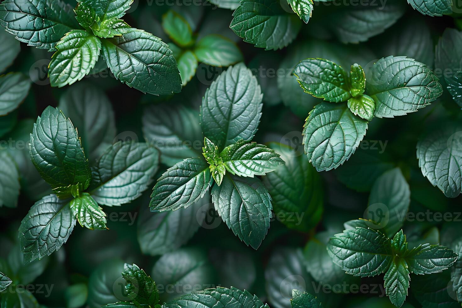 Lush Green Mint Leaves Pattern for Natural Background Design and Botanical Projects photo