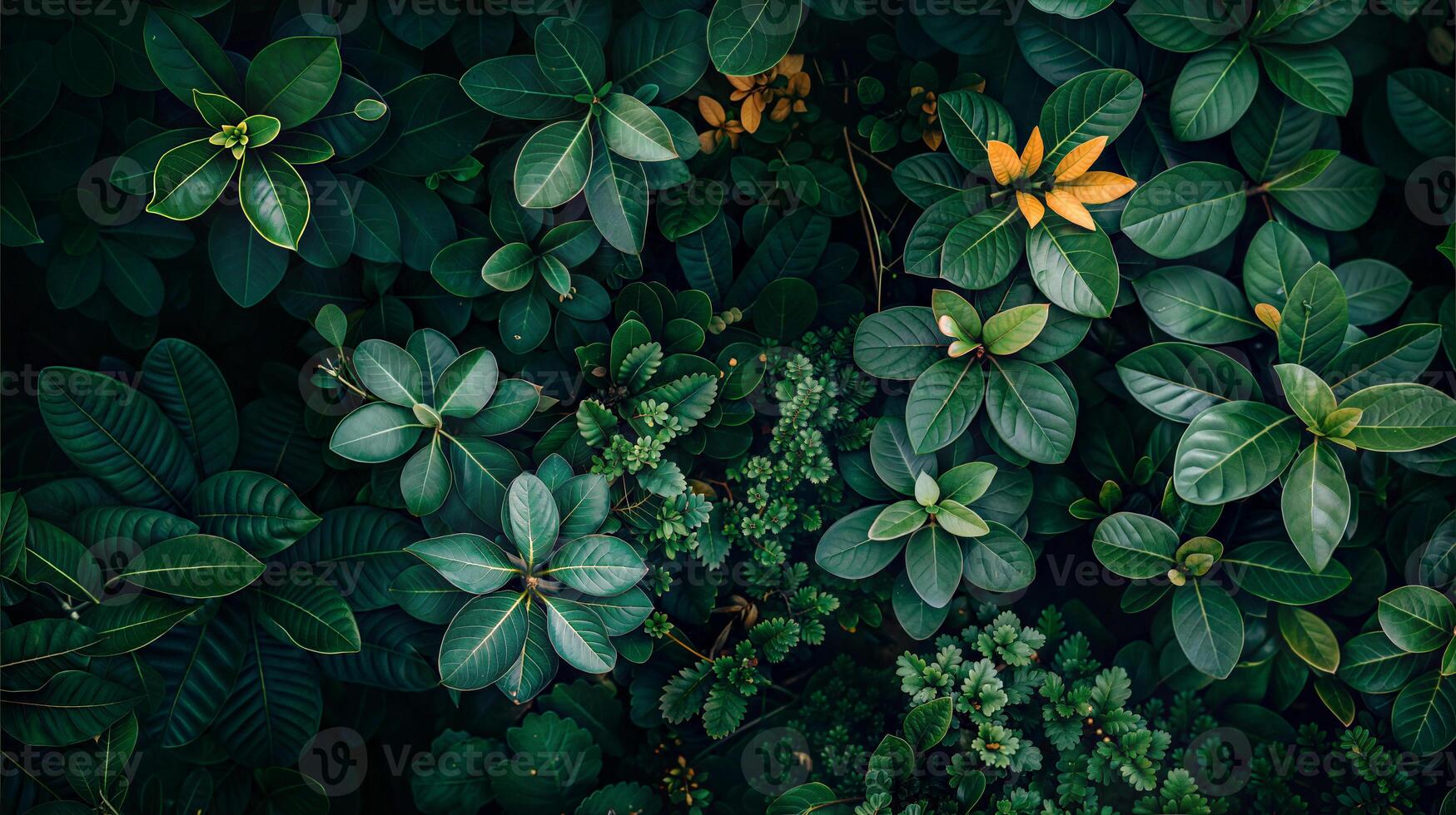 A close up view of green leaves and flowers photo