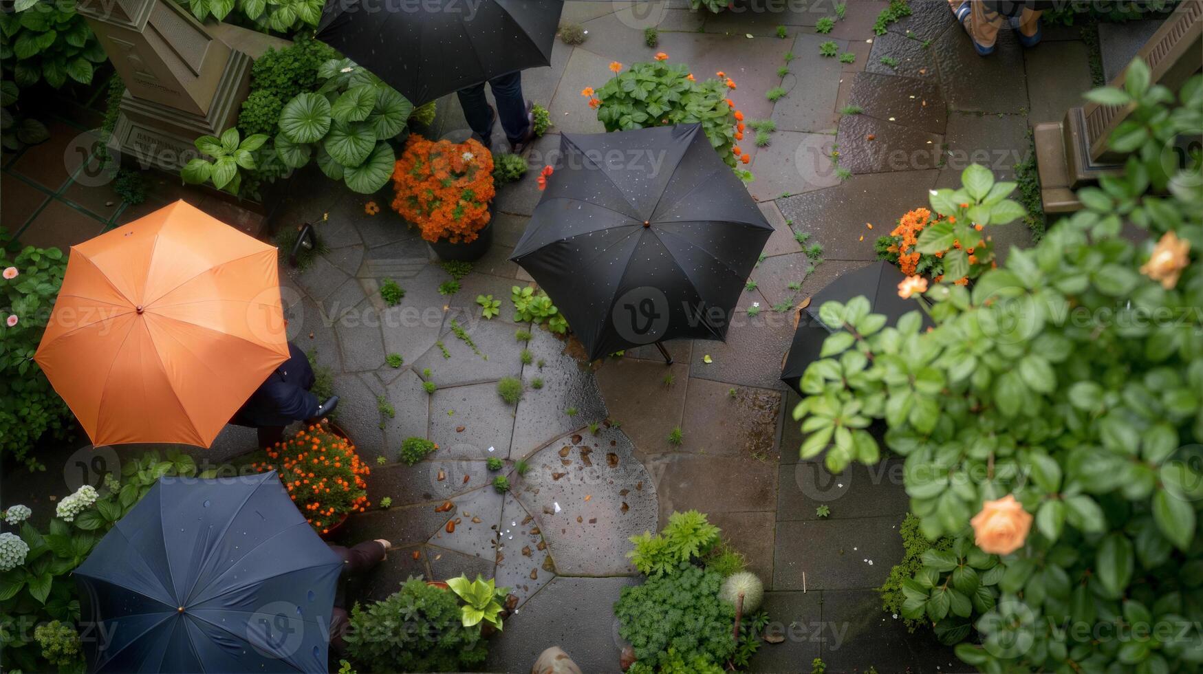 A group of people standing under umbrellas in a garden photo