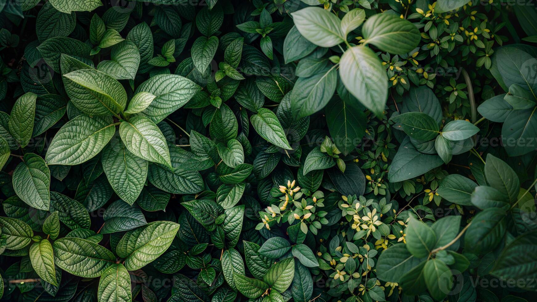 A green wall with many leaves and flowers photo