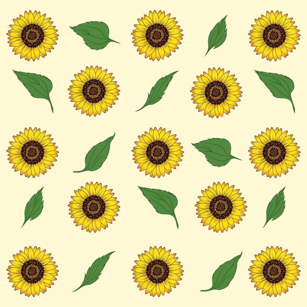 Sunflower pattern isolated on white background vector