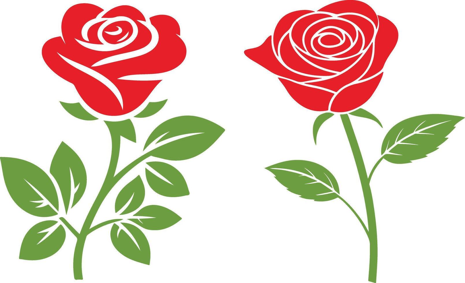 Rose art illustration with leaves, symbol of love, beautiful rose flower vector