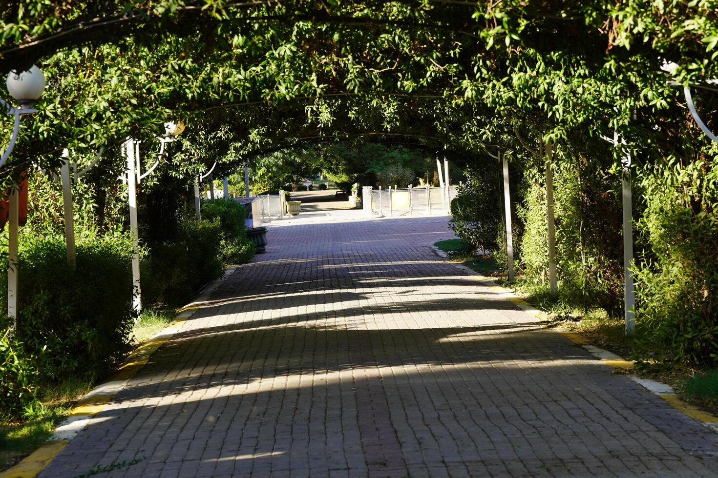 A paved walkway photo