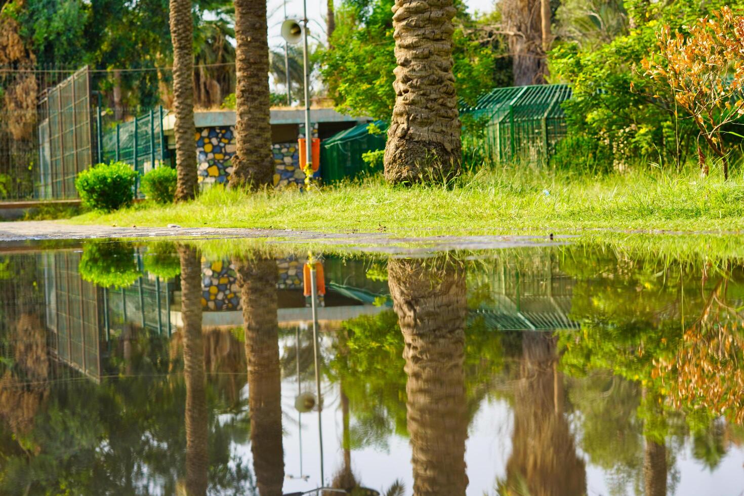 A man walking on a path with a umbrella photo