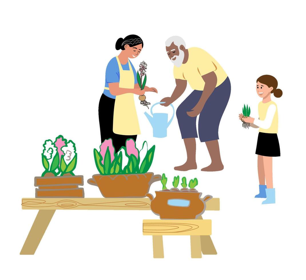 Flat Illustration of grandparents and granddaughter taking care of the garden or gardening in the yard vector