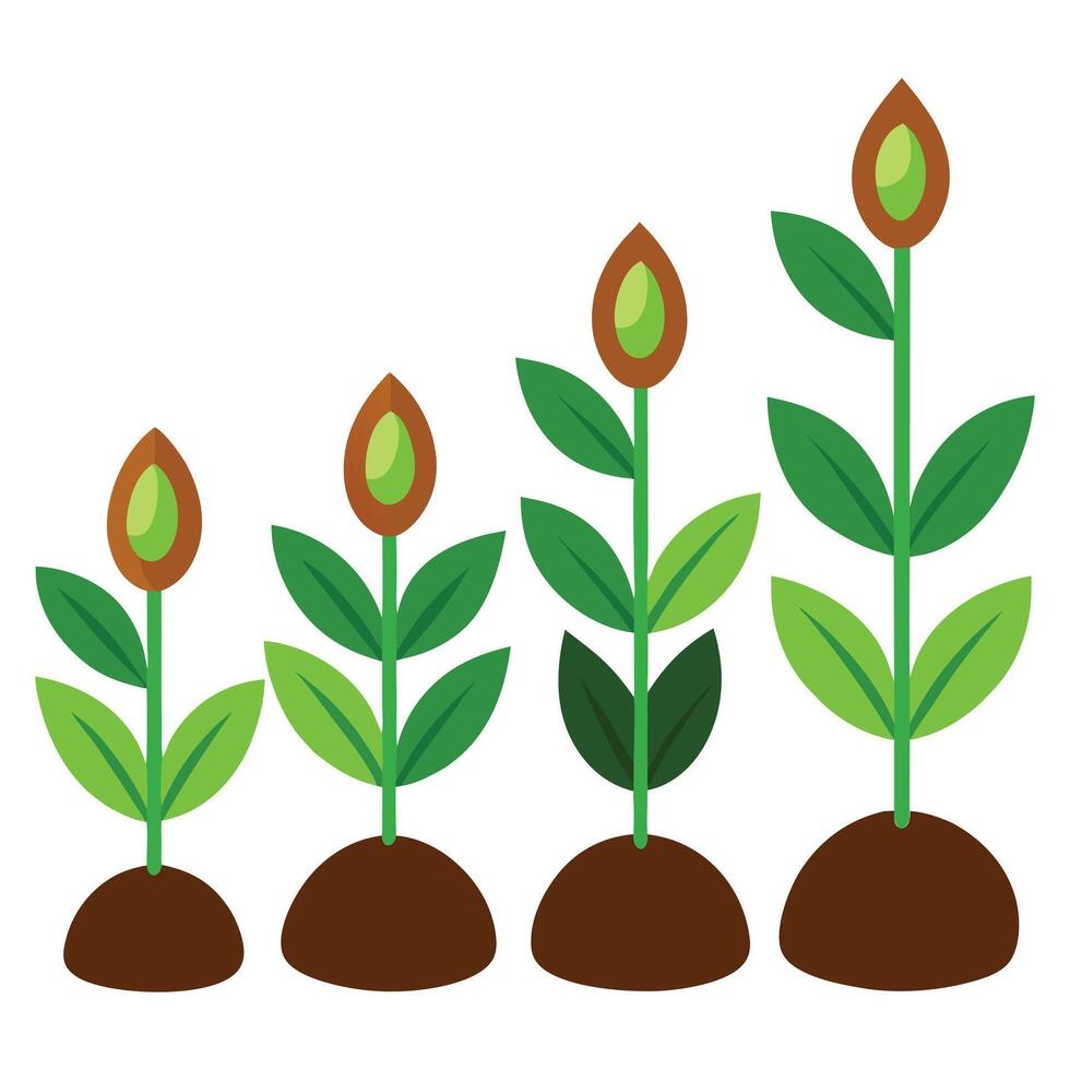 plant growing from soil vector