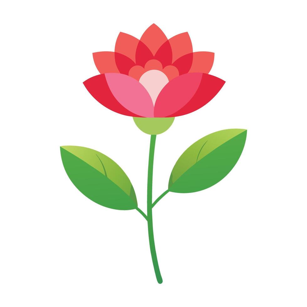 red rose flower illustration vector