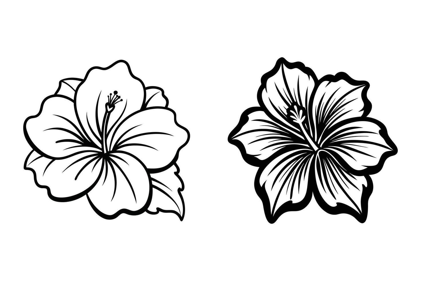 set of black and white flowers. Hibiscus flower silhouettes icon, A beautiful bold and clean hibiscus flower. vector