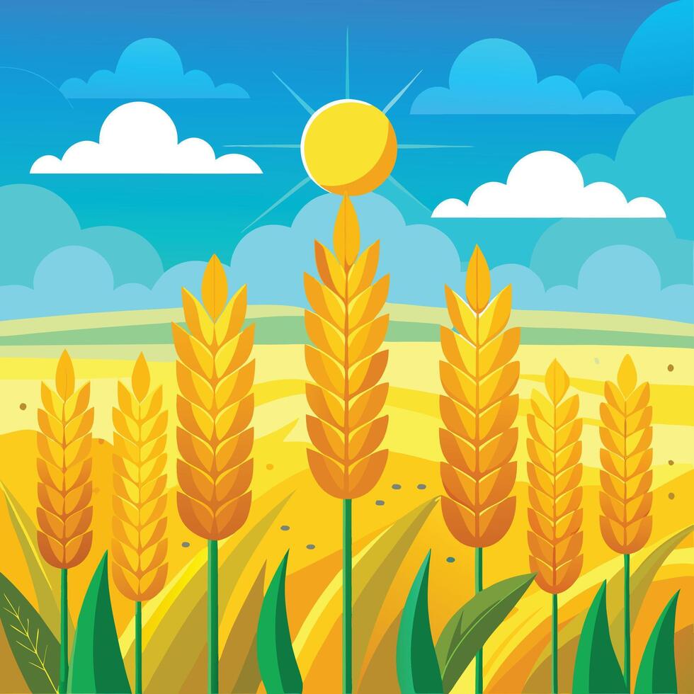 golden wheat field and blue sky vector