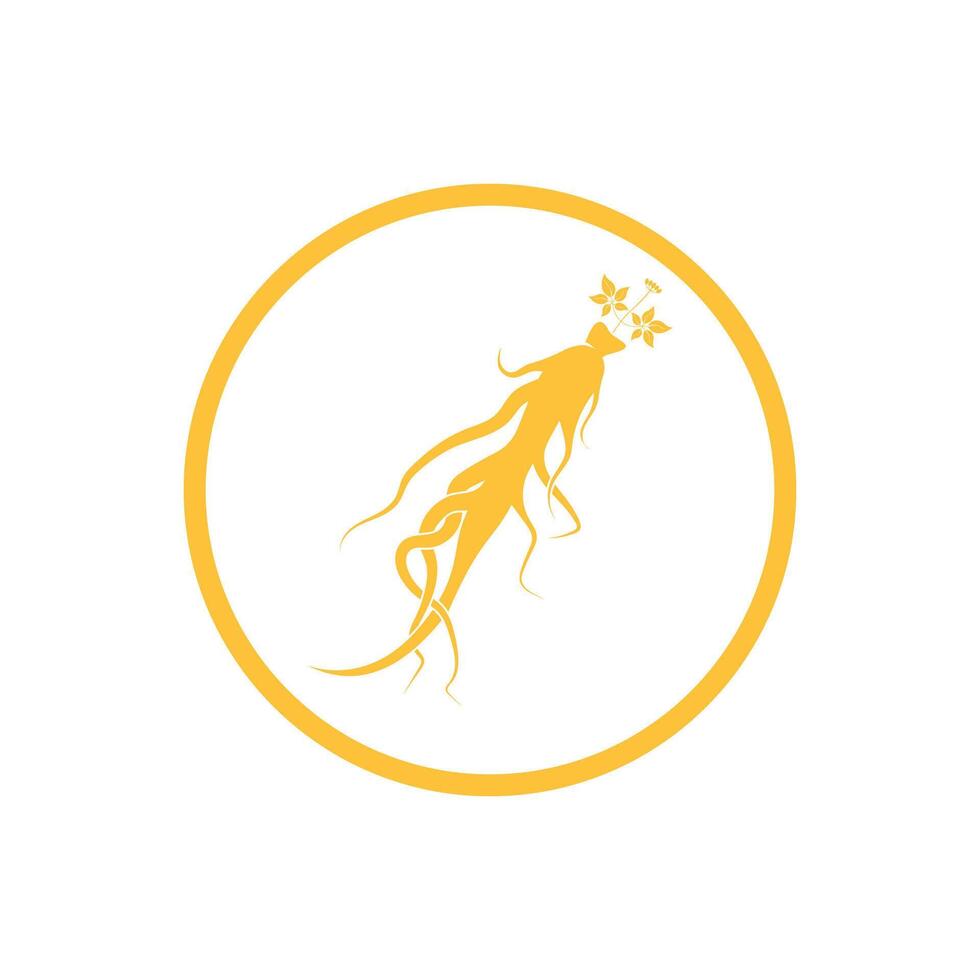 Ginseng logo design template and symbol icon vector