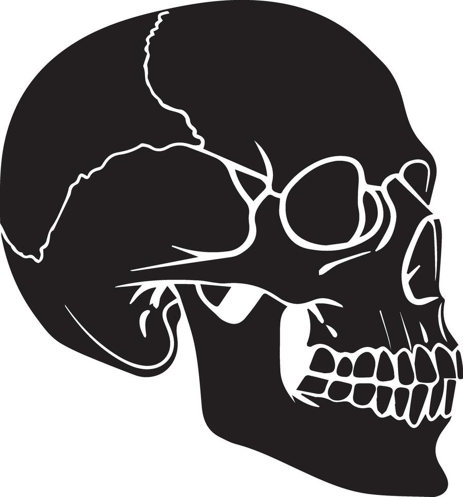 Creepy Skull Illustration for Halloween Projects vector