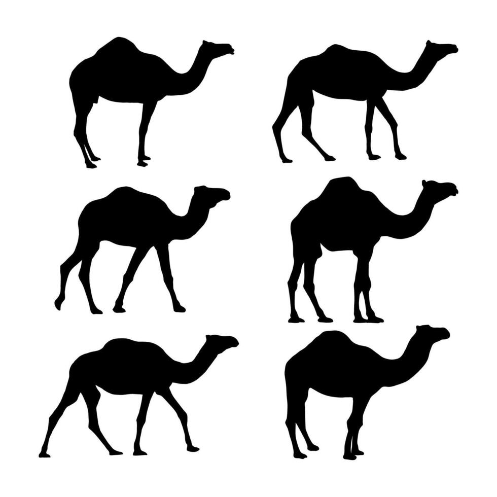 Camel silhouette illustration for icon design for muslim fest vector