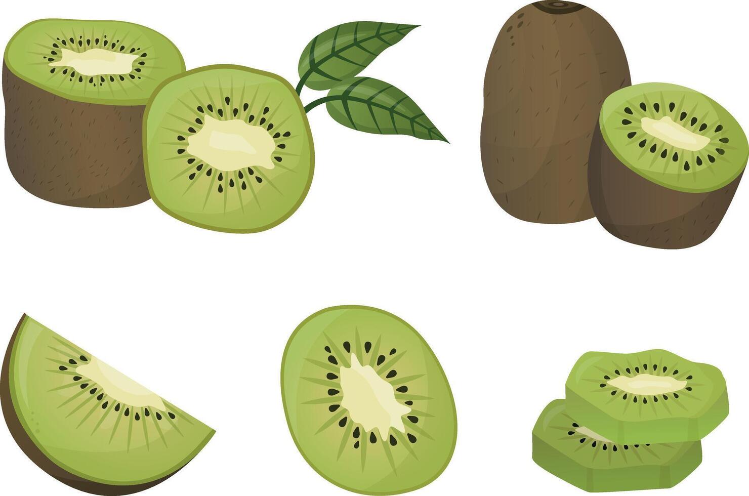 Set of kiwi with leaves. Fruit in cartoon style illustration vector