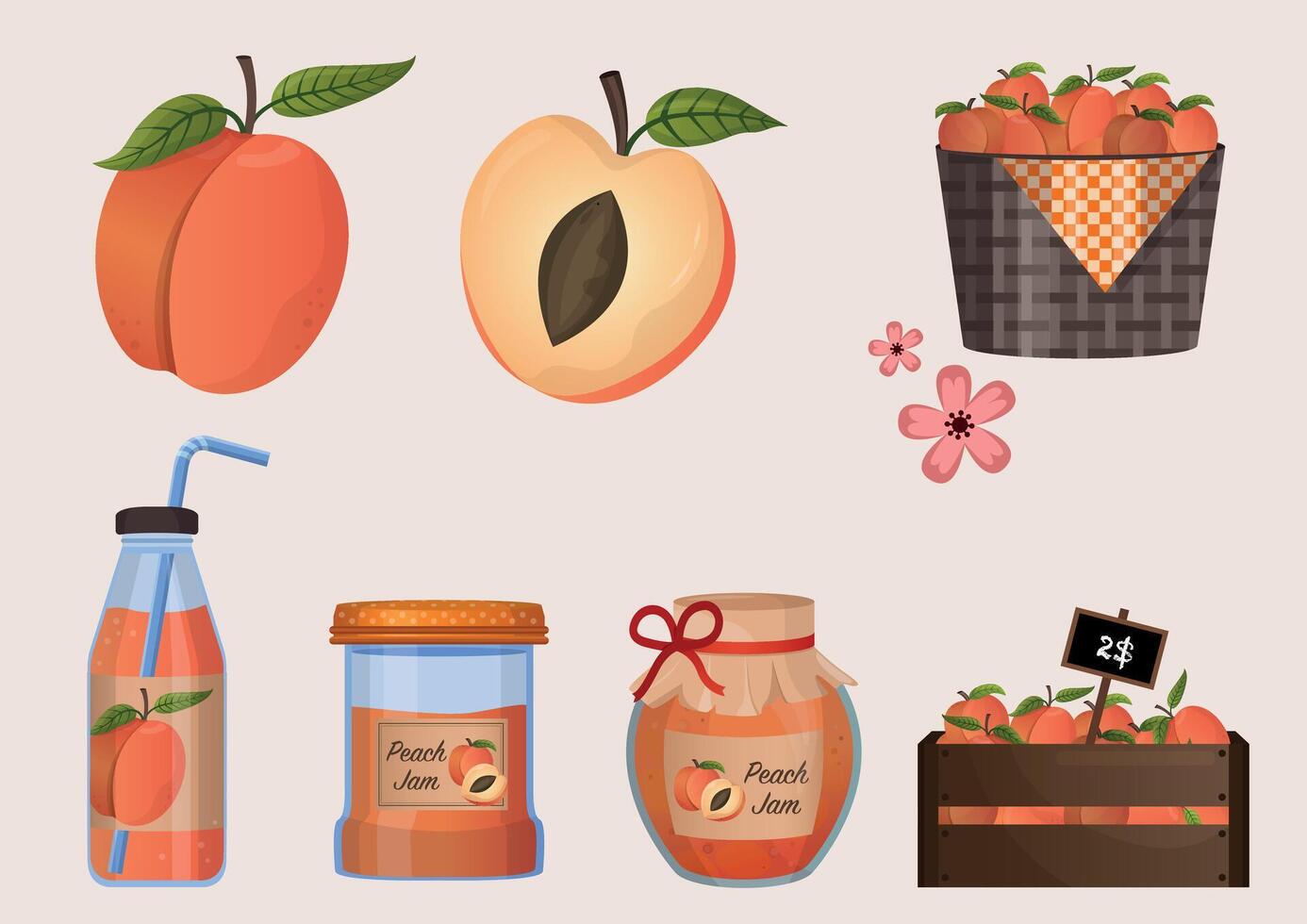 Peach harvest large collection. Pwach on branch, in basket, juice, jam, marmalade, pastila. Fruits vector