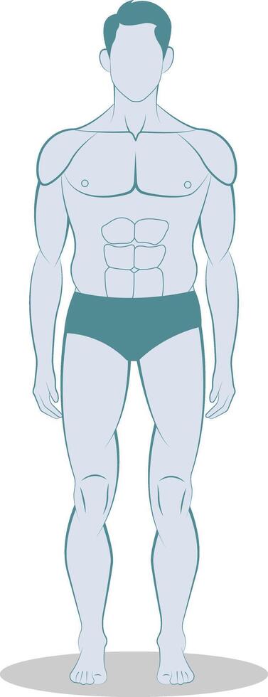 illustration of a man in a standing pose vector