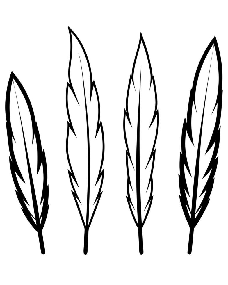 silhouette set of bird feather, white background, illustration line art vector