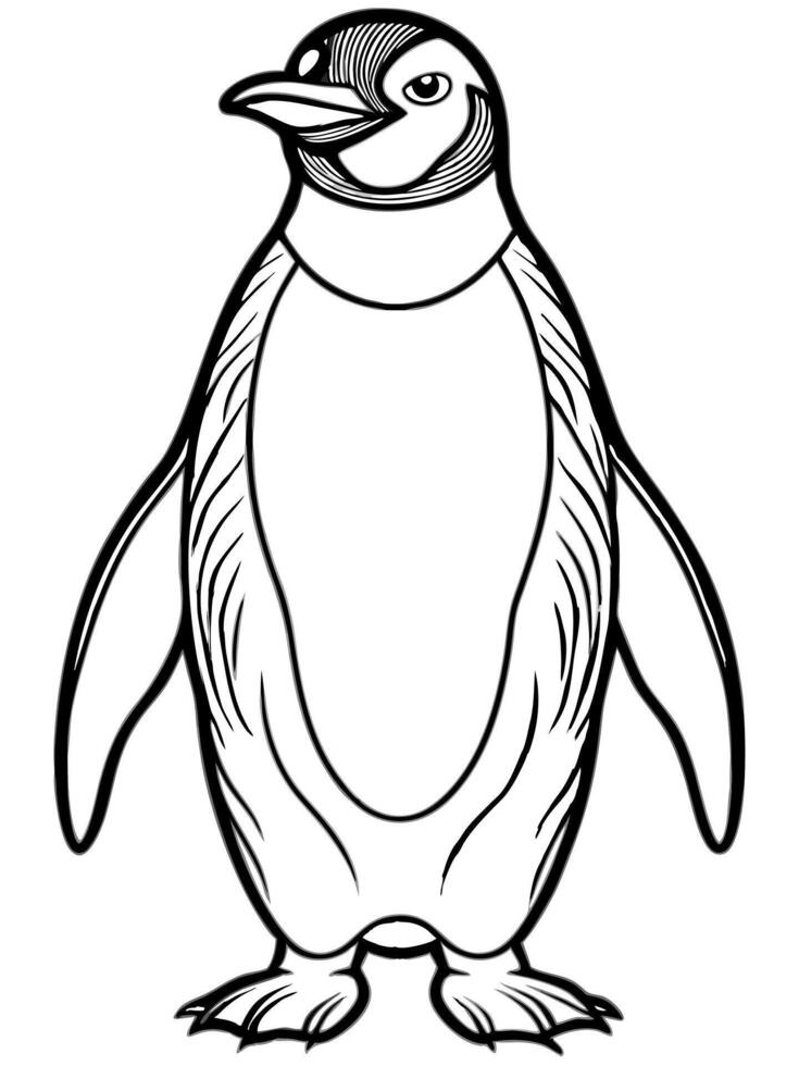 an emperor penguin, illustration line art vector