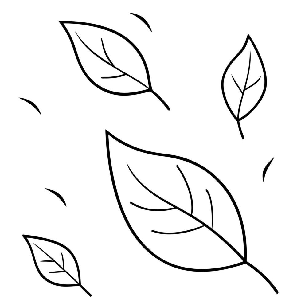 leaves falls, illustration line art vector