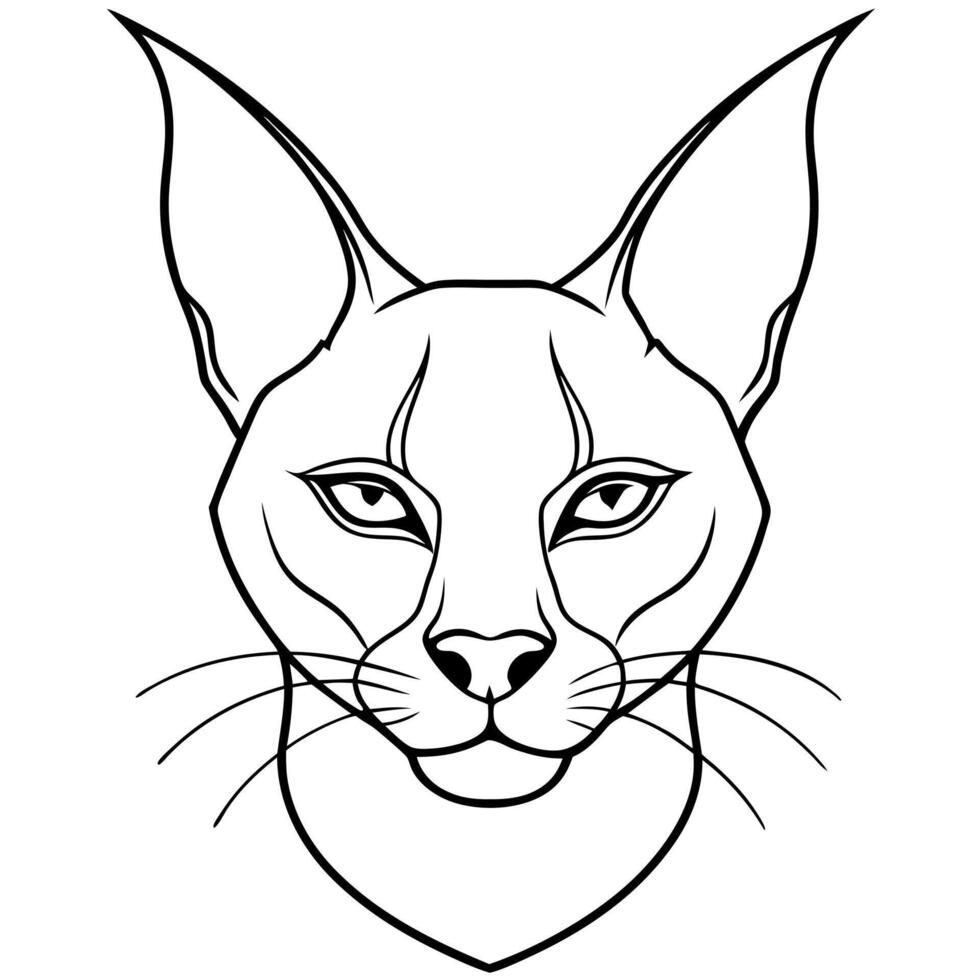 a caracal head with white background, illustration line art vector