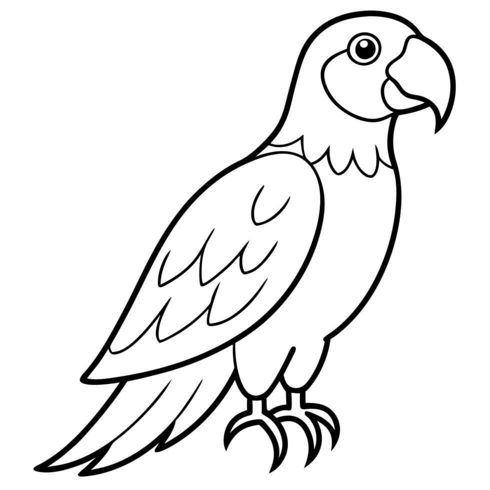 parrot, illustration line art vector