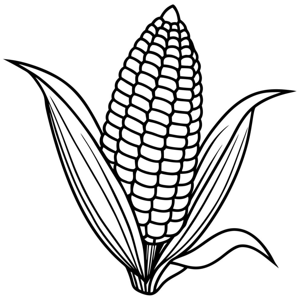 corn silhouette illustration, white background, illustration line art vector