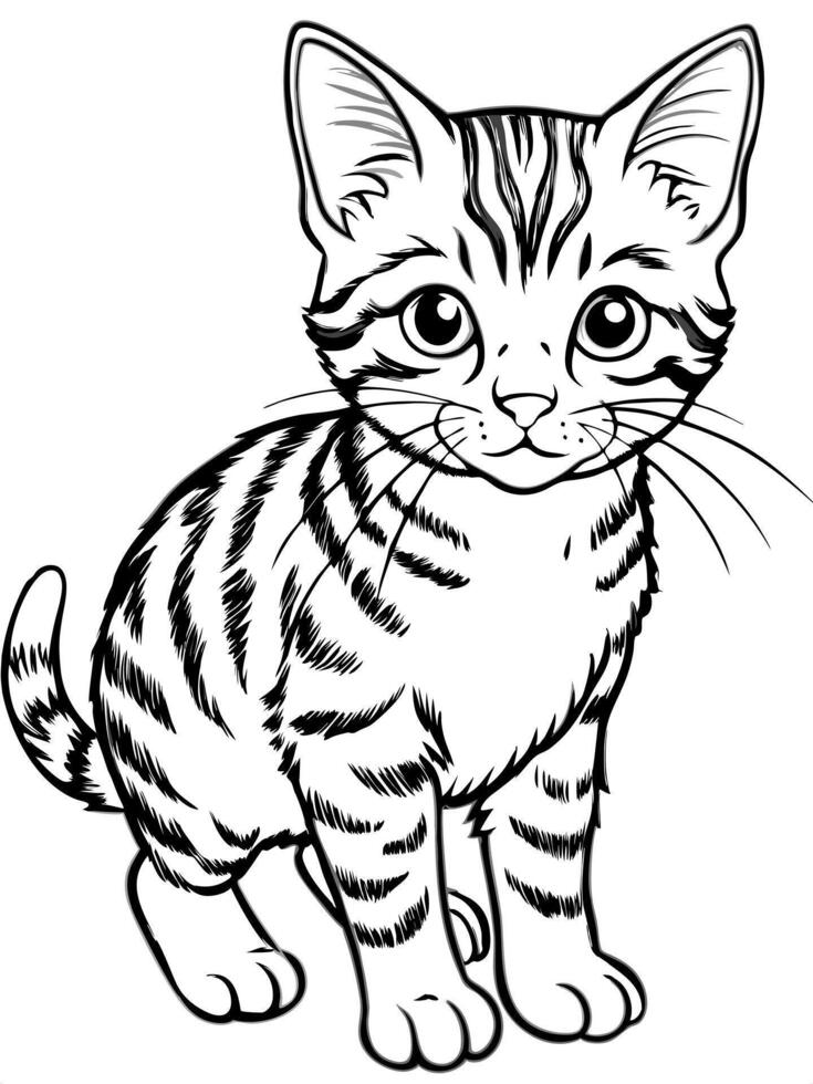 a tabby kitten, illustration line art vector