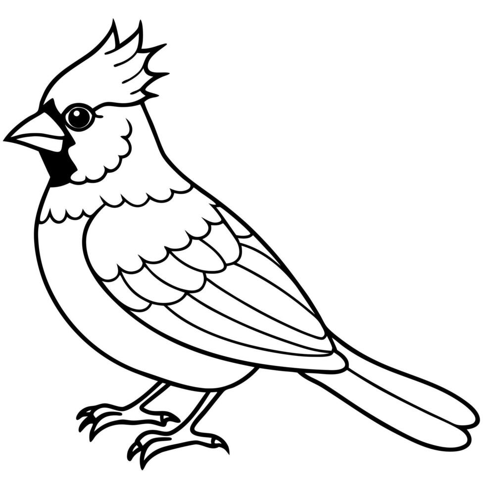 coloring page, bold line art, christmas cardinal, illustration line art vector