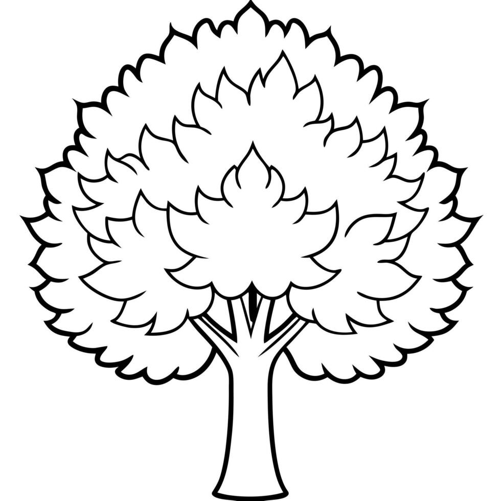 chestnut, tree, illustration line art vector
