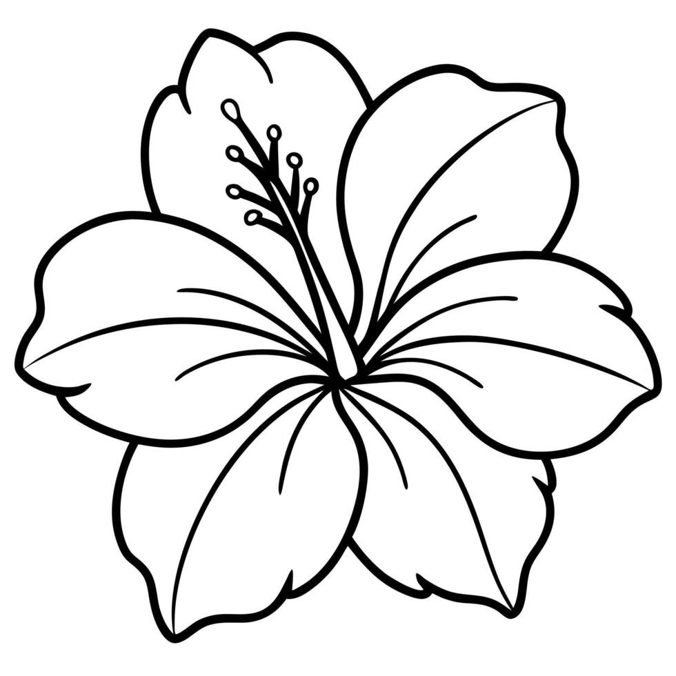 hibiscus, illustration line art vector