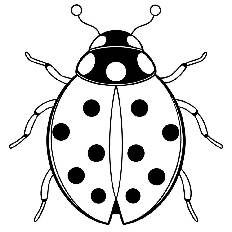 a lady bug, illustration line art vector