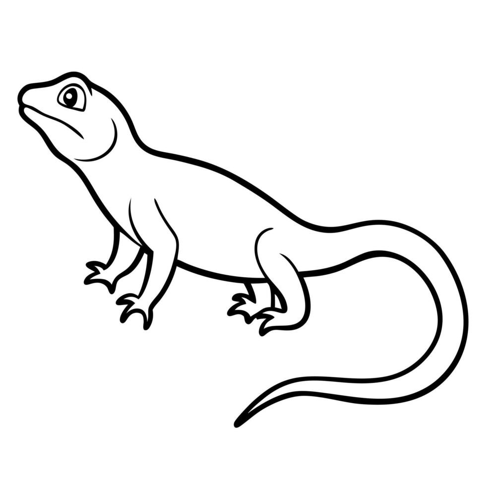 lizard line art illustration one white background, illustration line art vector