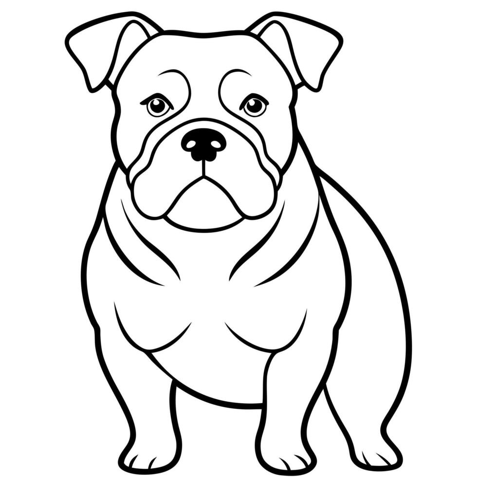 bulldog , illustration line art vector