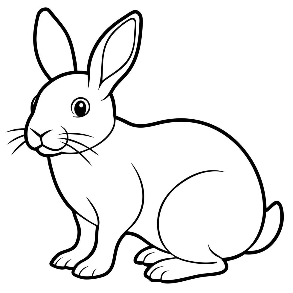 rabbit, illustration line art vector