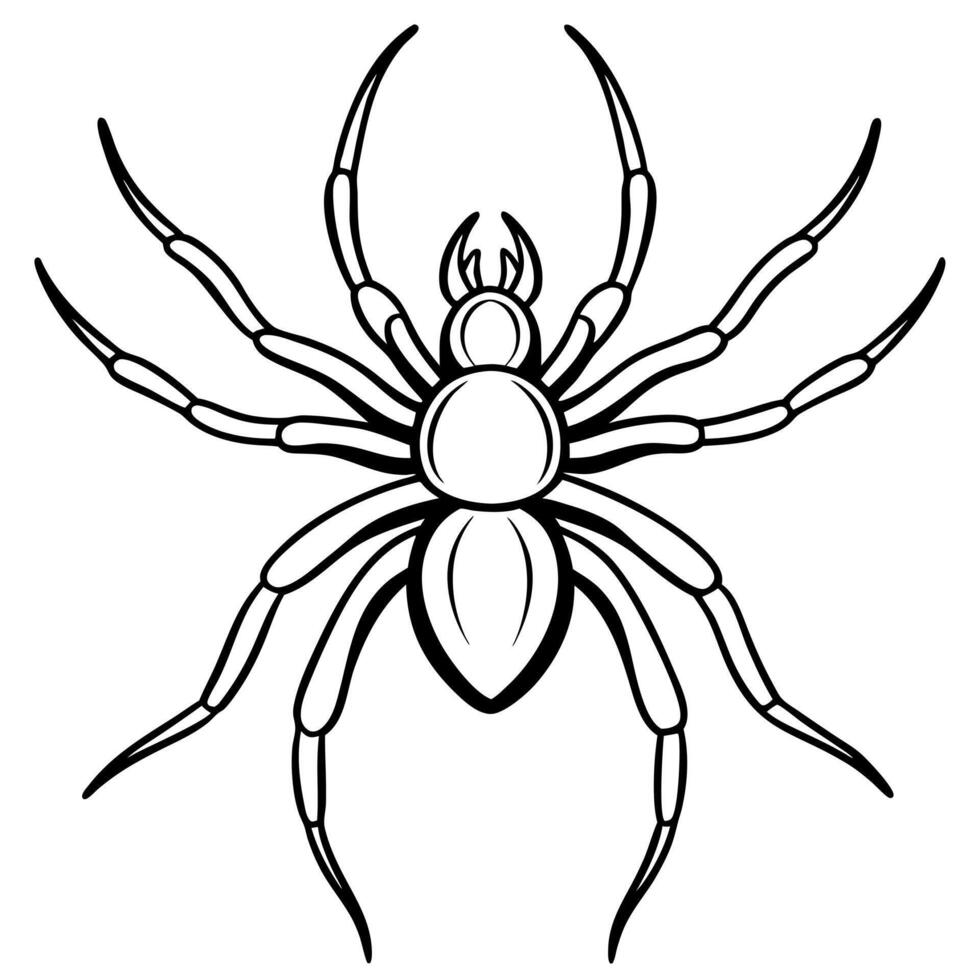 spider, illustration line art vector
