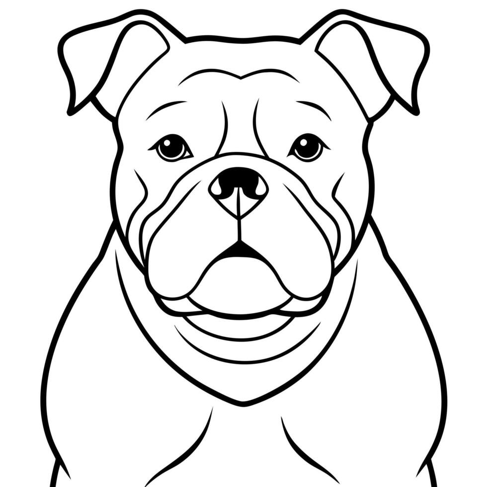 bulldog, illustration line art vector