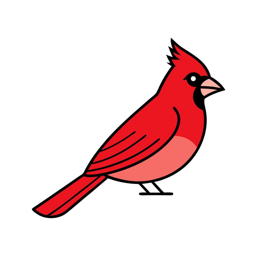 a flat illustration of a cardinal bird with minimal details, using simple shapes and clean lines vector